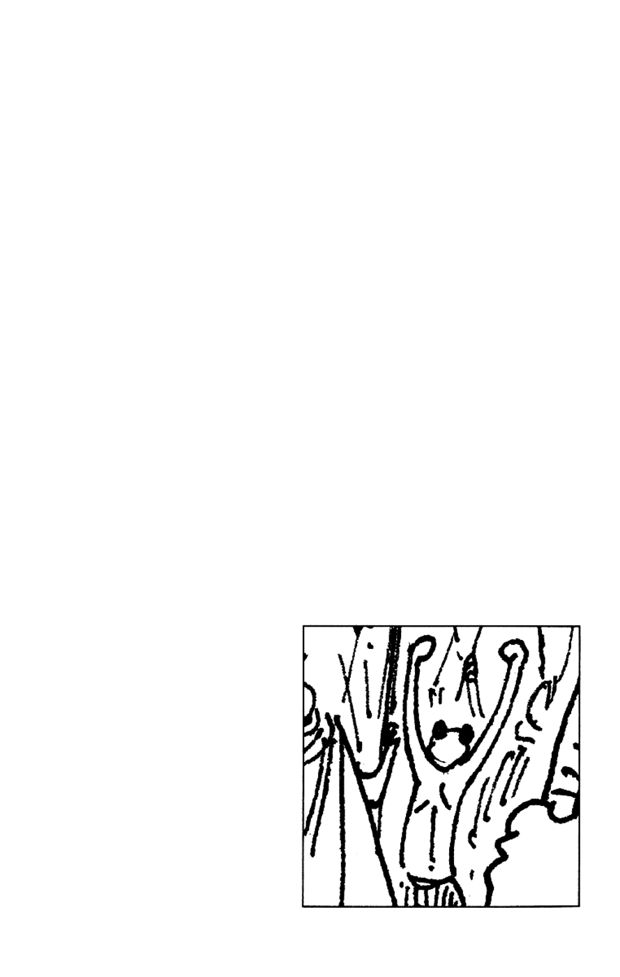 One Piece, Chapter 201 image 03